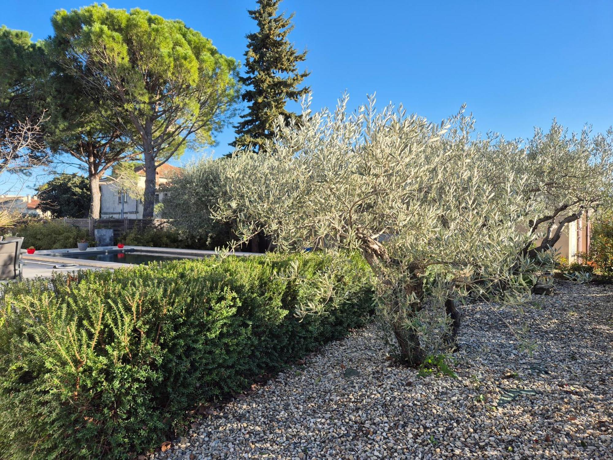Avec Piscine Dans Un Domaine Viticole Domazan